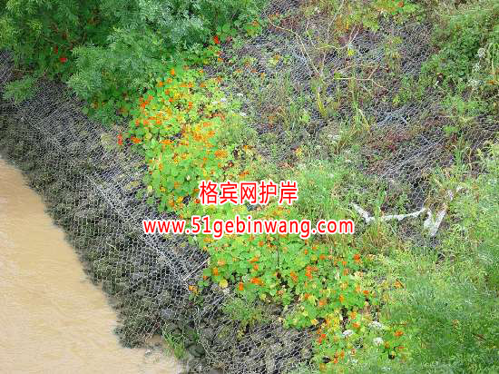 鍍鋅格賓網(wǎng)護岸