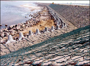 綠格網(wǎng)護岸